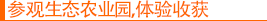 参观生态农业园，体验收获