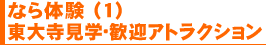 なら体験 (1) 東大寺見学・歓迎アトラクション