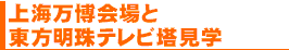 上海万博会場と東方明珠テレビ塔見学	