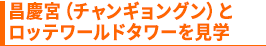 昌慶宮(チャンギョングン)とロッテワールドタワーを見学