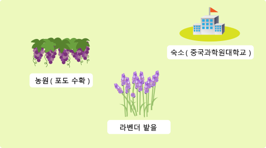 지도