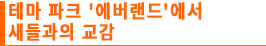 테마 파크 '에버랜드'에서 새들과의 교감